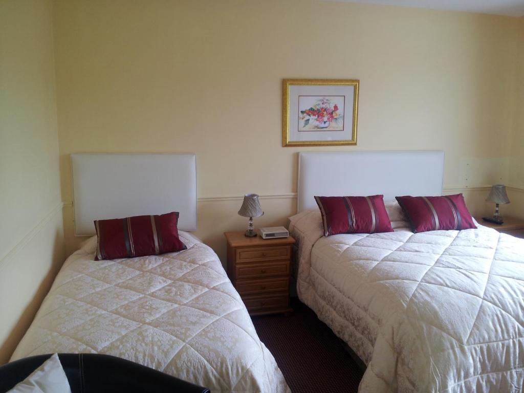 Tir Na Nog B&B Cashel  Exteriér fotografie